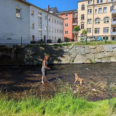 Famzi - Urlaubsmagie - Familienwohnung Mit Sauna, Pool Und Whirpool Am Fluss Apartment Sebnitz