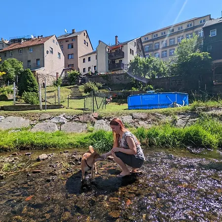 Famzi - Urlaubsmagie - Familienwohnung Mit Sauna, Pool Und Whirpool Am Fluss